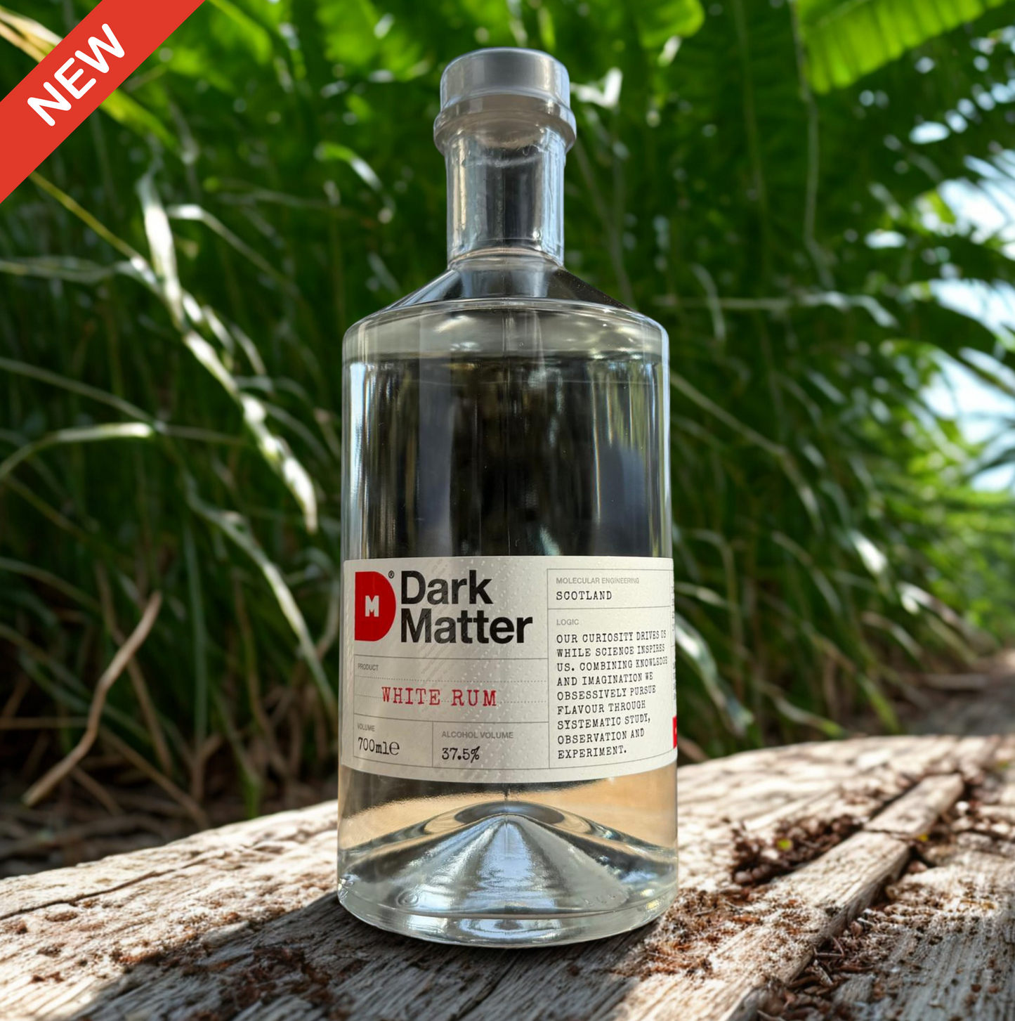 Dark Matter White